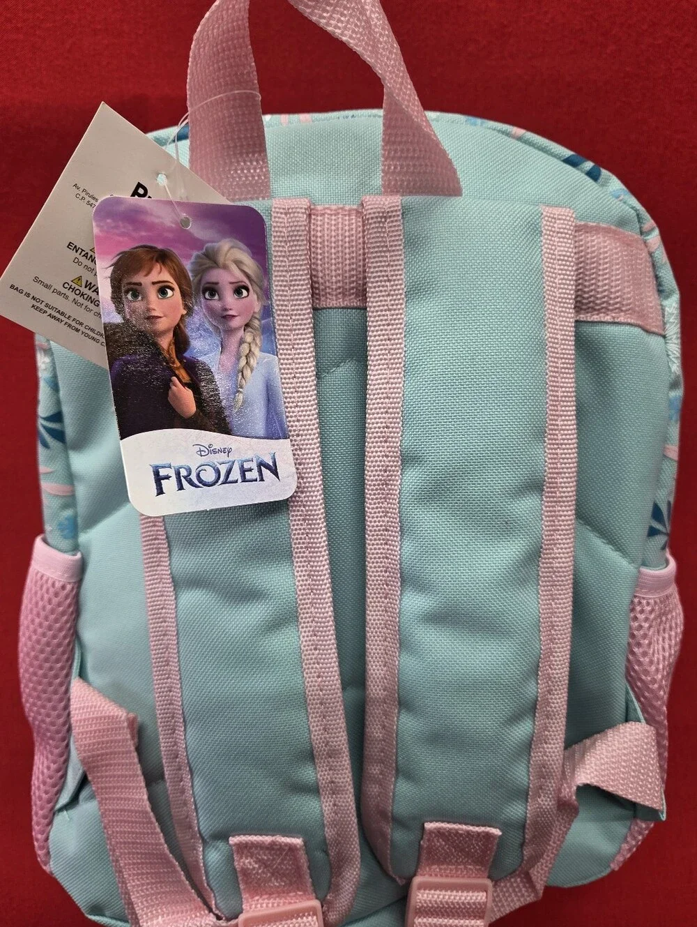 Frozen Backpack